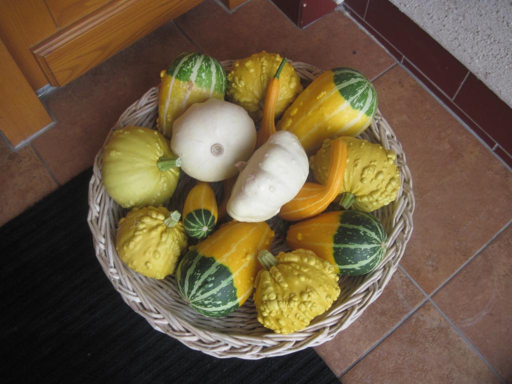Ošatka průměr 42cm.